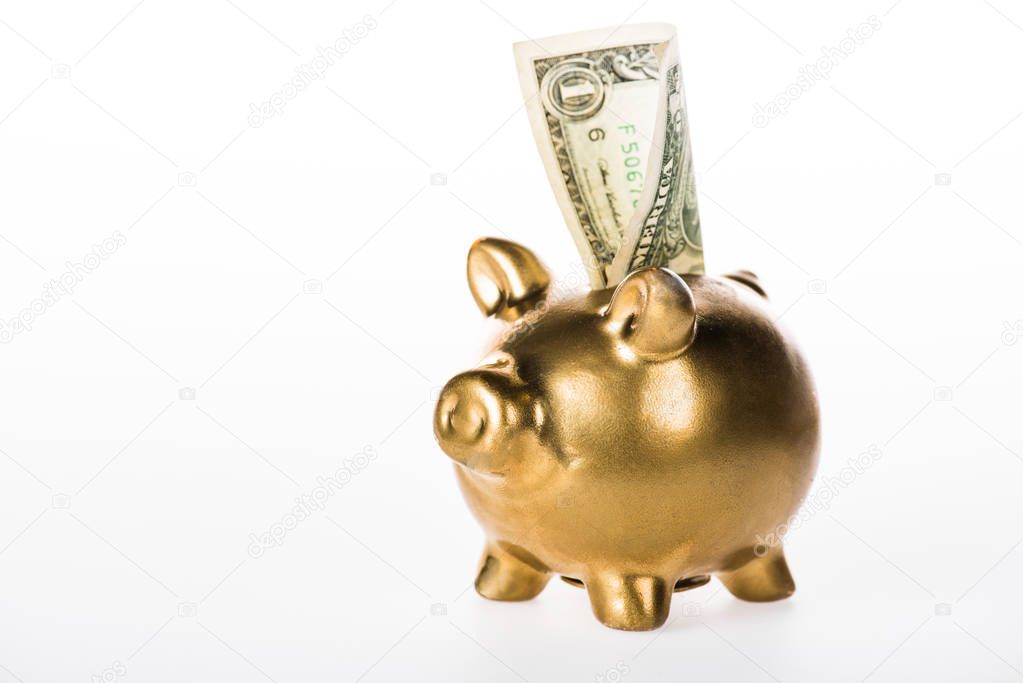 close-up view of golden piggy bank and dollar banknote isolated on white