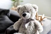 close-up view of beautiful grey teddy bear on sofa