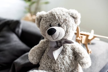 close-up view of beautiful grey teddy bear on sofa clipart