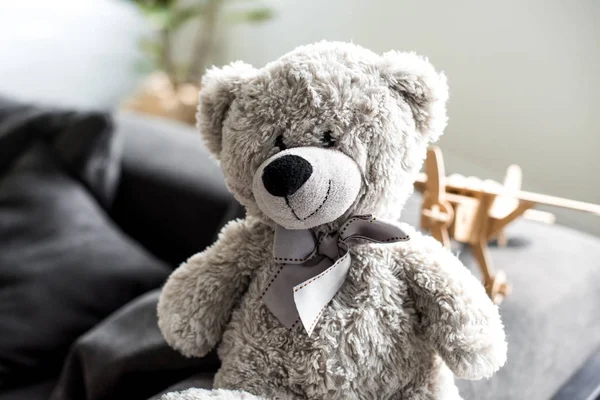 Close View Beautiful Grey Teddy Bear Sofa — Stock Photo, Image