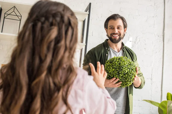 Mutlu Baba Kızı Ile Yeşil Yuvarlak Houseplant Oynarken Seçici Odak — Stok fotoğraf