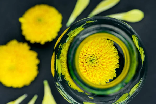 Flower in glass bottle — Stock Photo