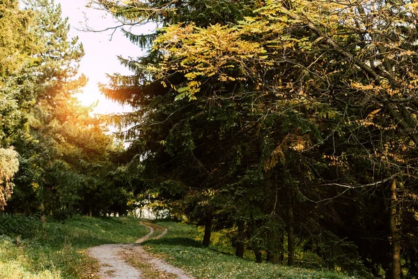 Footpath in autumn park — Stock Photo