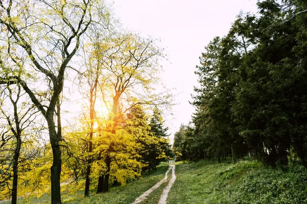 Sendero en el parque de otoño - foto de stock