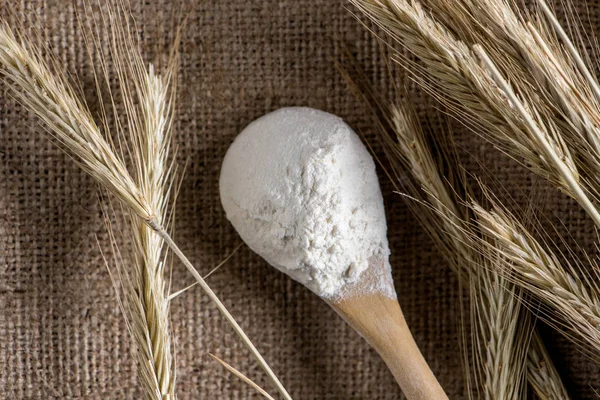Close up view of flour in wooden spoon and wheat on sackcloth — Stock Photo
