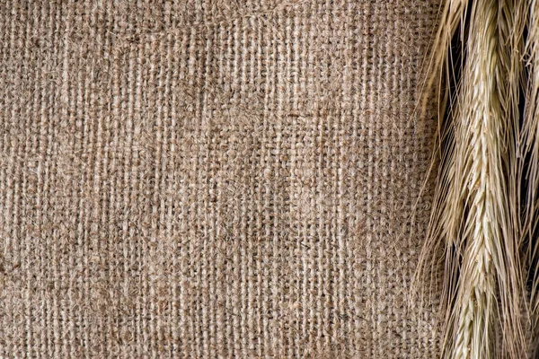 Close up view of wheat on sackcloth background — Stock Photo