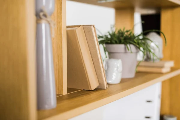 Close up view of books and plant in flowerpot on wooden bookshelf — Stock Photo