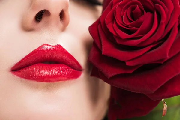 Imagen recortada de chica sensual tocando la cara con rosa roja, concepto de día de San Valentín - foto de stock