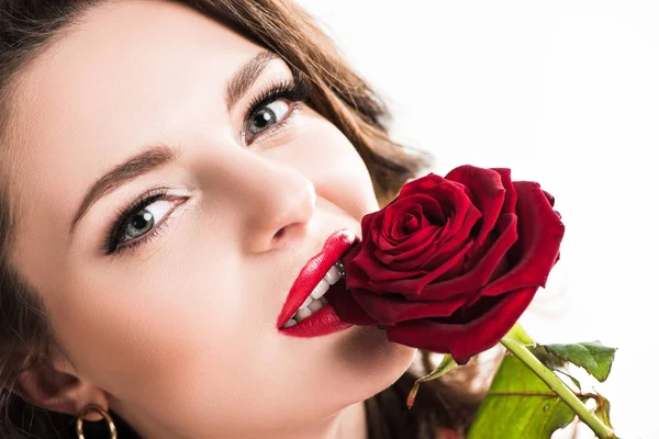 Seducente ragazza mordere petali di rosa rossa isolato su bianco, concetto di giorno di San Valentino — Foto stock