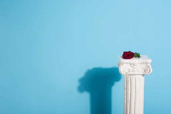 One red rose on white column on blue — Stock Photo
