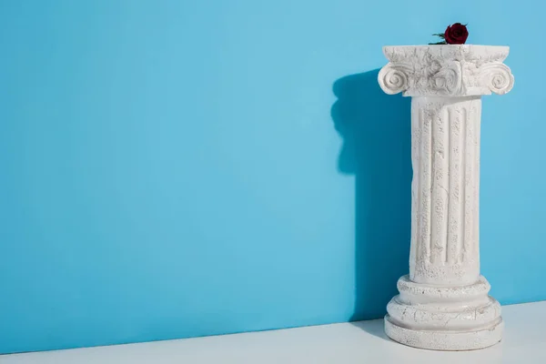 Una rosa roja sobre una columna blanca sobre azul - foto de stock