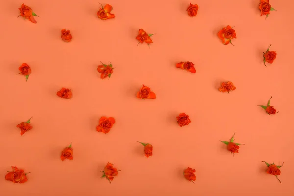 Vue de dessus de belles fleurs roses en fleurs sur fond rouge — Photo de stock