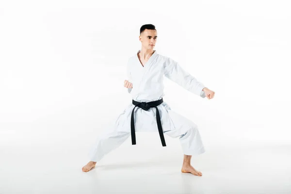 Male karate fighter training isolated on white — Stock Photo