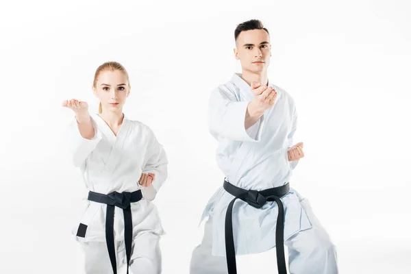 Cazas de karate con cinturones negros entrenando aislados en blanco - foto de stock