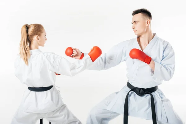 Luchadores de karate femeninos y masculinos con cinturones negros entrenando aislados en blanco - foto de stock