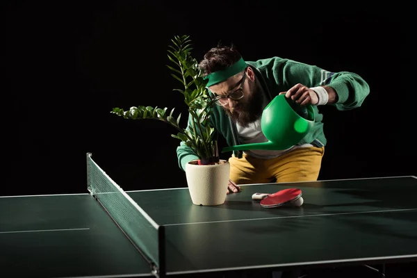 Joueur de tennis barbu arrosage fleur en pot sur table de tennis isolé sur noir — Photo de stock