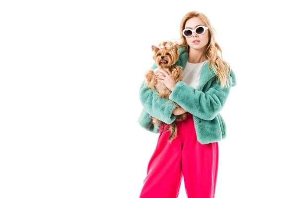 Atractiva mujer joven vestida con abrigo de piel sosteniendo lindo Yorkie aislado en blanco — Stock Photo