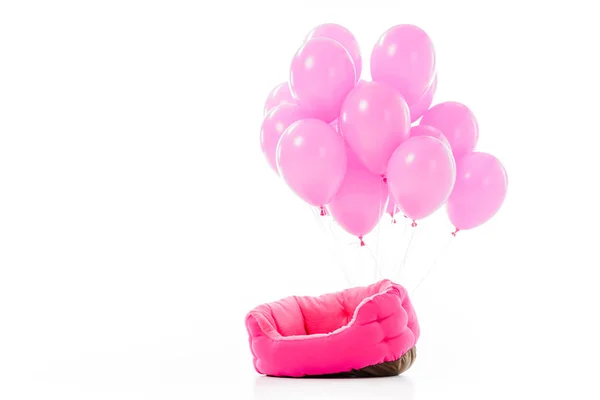 Pink pet bed with balloons isolated on white — Stock Photo