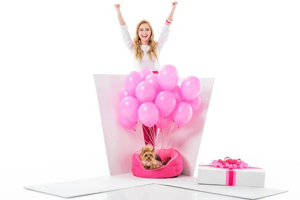 Mujer joven feliz por caja de regalo con perro yorkie y globos rosados aislados en blanco - foto de stock