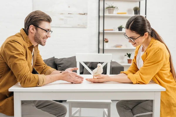 Young couple sitting with little chick on table — Stock Photo