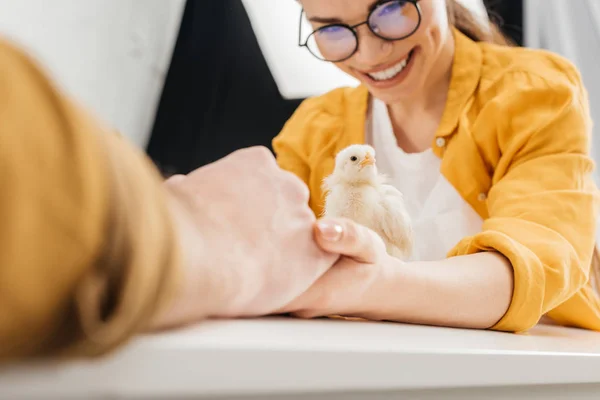 Couple holding hands and taking care of little chick on table at home — Stock Photo