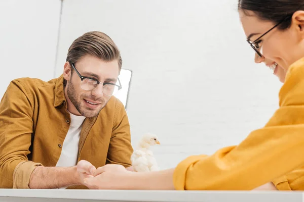 Jovem casal feliz cuidando de filhote na mesa em casa — Fotografia de Stock