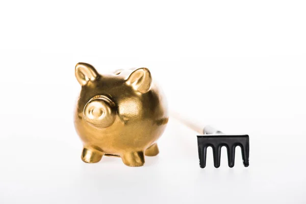 Close-up view of golden piggy bank and small rakes isolated on white — Stock Photo