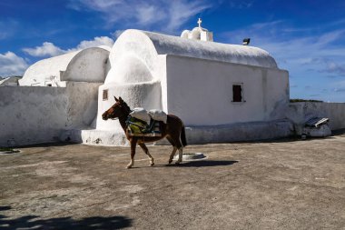 Santorini 'deki beyaz binanın yanında yürüyen kahverengi atın üzerindeki güneş ışığı.