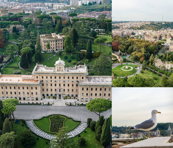 collage of gardens in Vatican city near historical buildings and wild gull in italy 