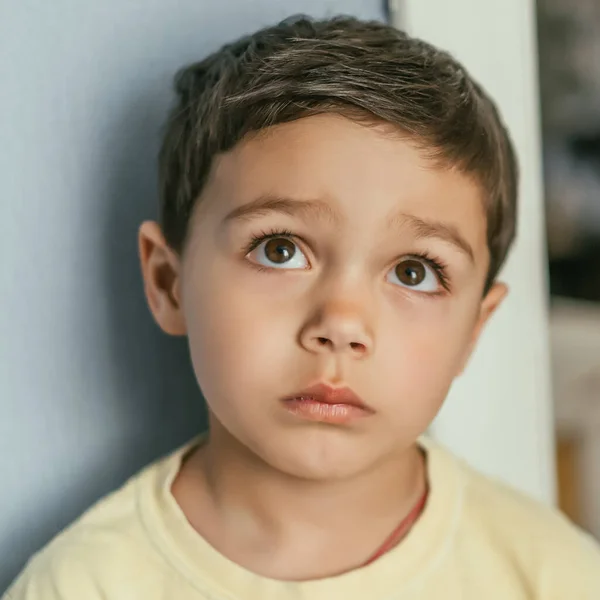 Porträtt Lyhörd Bedårande Brunett Pojke Tittar Upp Med Bruna Ögon — Stockfoto