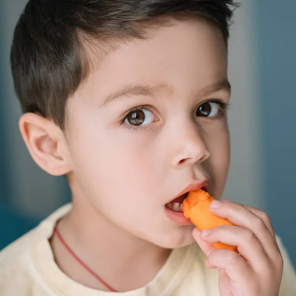 Porträt eines entzückenden Jungen, der frische Möhren isst und in die Kamera blickt — Stockfoto