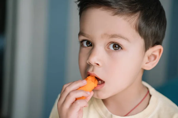 Lindo niño comiendo zanahoria fresca y mirando a la cámara - foto de stock