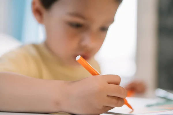 Foyer sélectif de dessin garçon adorable et attentif avec feutre-pointe stylo — Photo de stock