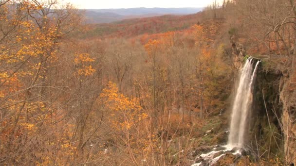 秋の森の滝 — ストック動画