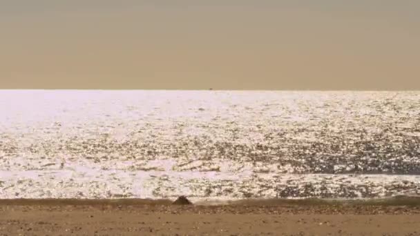 Strălucitor soare ocean licărire — Videoclip de stoc