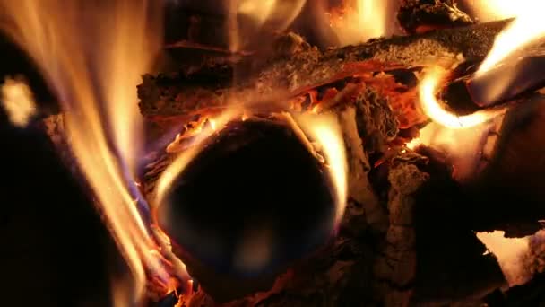 Tronco de madera ardiente — Vídeos de Stock