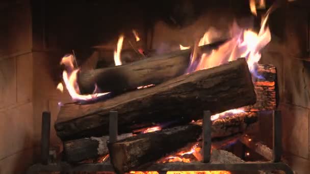 Burning wood in fireplace — Stock Video