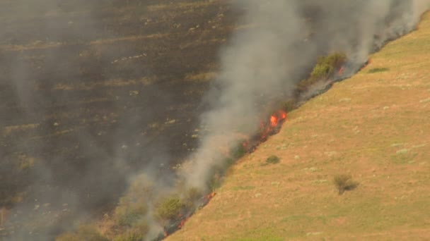 Brûlures à flanc de colline carbonisées 