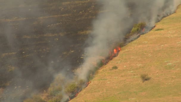 Charred hillside burns — Stock Video