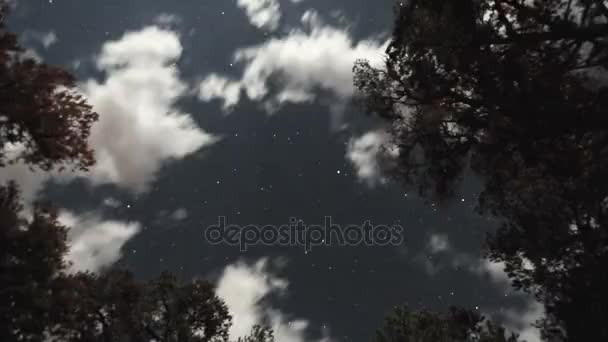 Nuvole e stelle sopra la testa di notte timelapse — Video Stock