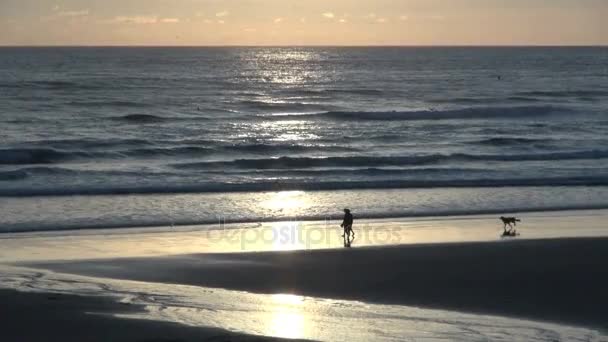 Ζευγάρι και το σκυλί το περπάτημα στην παραλία κανόνι στο Όρεγκον — Αρχείο Βίντεο