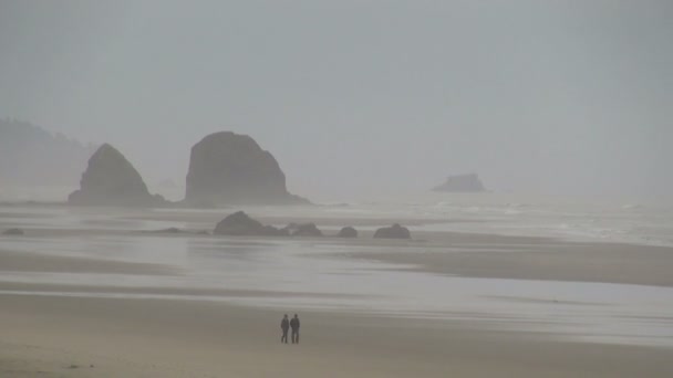 Пара гуляє на гарматному пляжі в туманний ранок — стокове відео