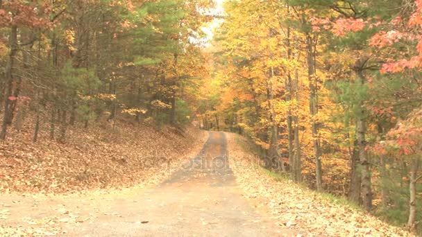 Pays backroads zoom — Video