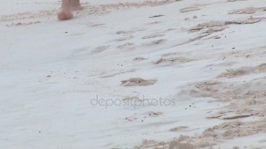 bermuda kuma ayak
