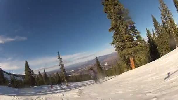 Snabba skidor nedför backen — Stockvideo