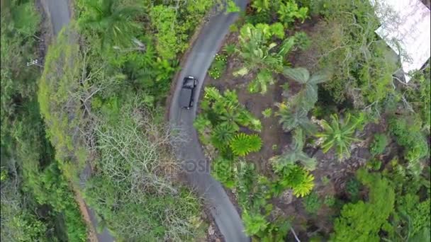 Vliegende auto langs de oprit in tropische omgeving — Stockvideo