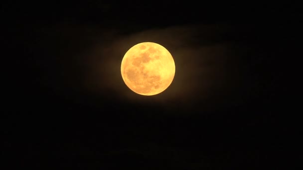 満月がズームアウトします。 — ストック動画