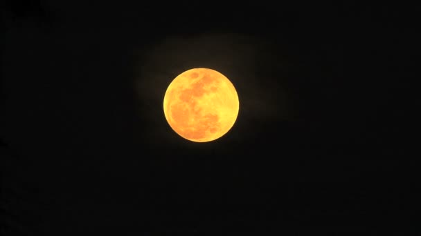 Luna piena arancione e giallo — Video Stock