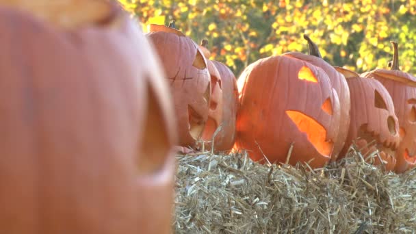 Enfoque de cremallera Jackolantern — Vídeos de Stock