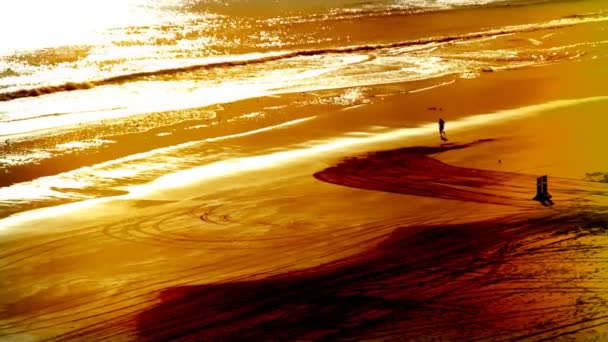 Jogging à la plage — Video